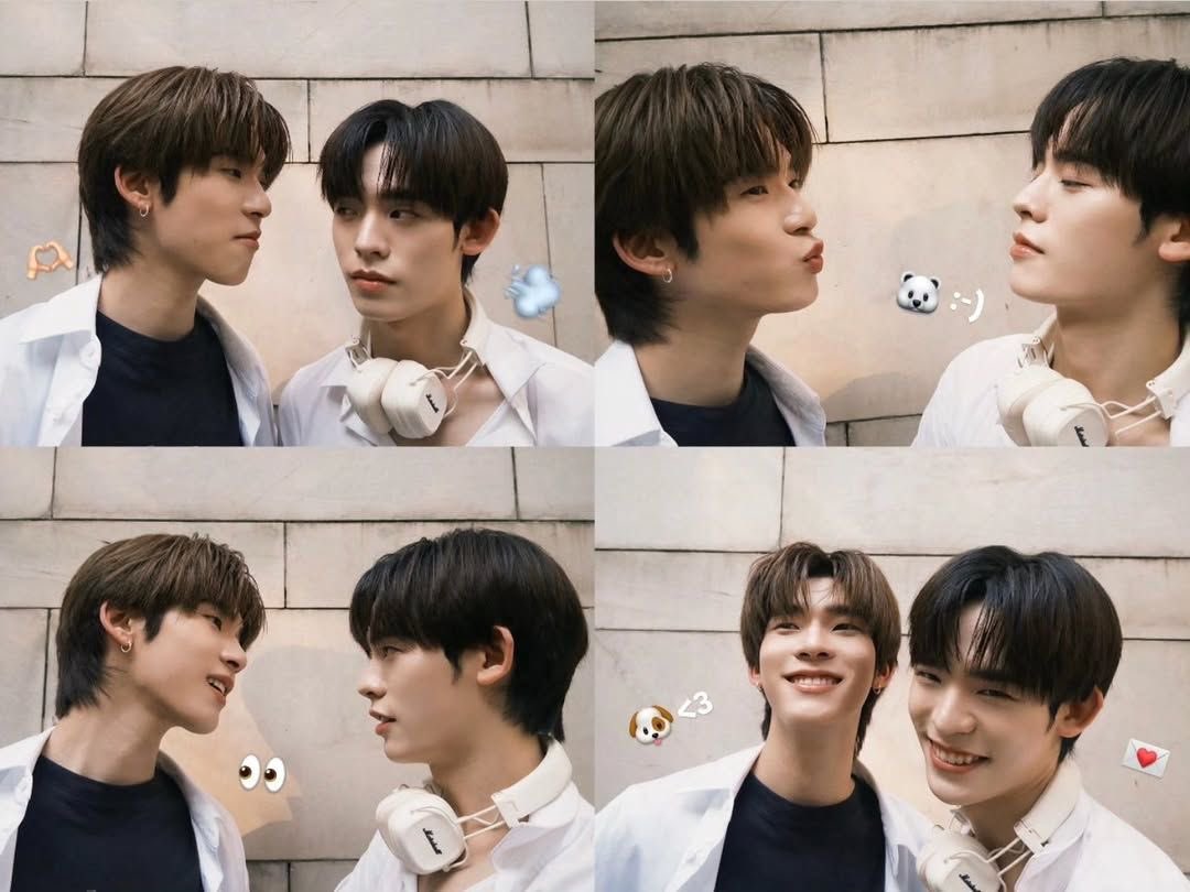 lim ‧˚꒰🐾୭ ˚. ᵎᵎ tweet media