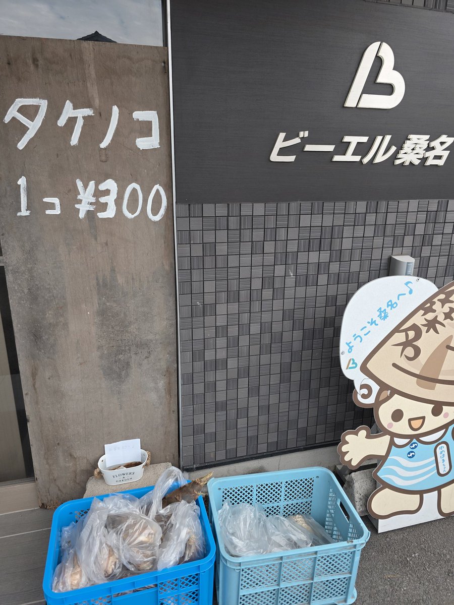 hotelbl's tweet photo. たけのこ第三弾！

今回は今までで最高の取れ高。そしてジャンボ。

新鮮なうちにどうぞ〜 https://t.co/IGuYFxcisX
