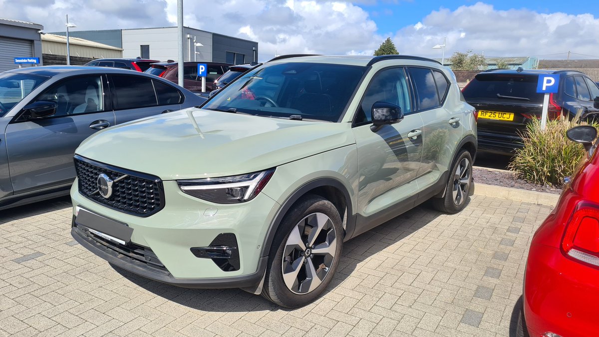 Dogknob1 tweet media