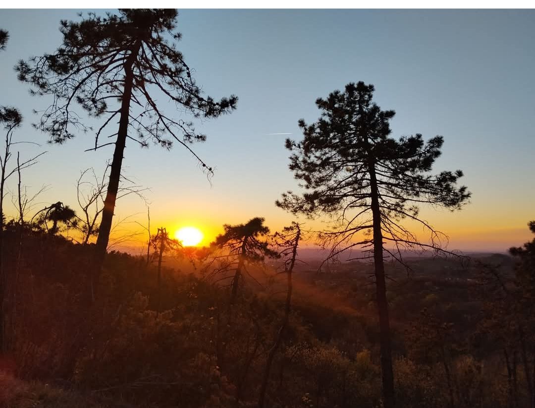 ilemilla73's tweet image. la saggezza della natura non cerca la perfezione, ma l'armonia
Accoglie l'errore come parte del processo e trasforma il caos in equilibrio ✨🌿 #Armonia 
#Natura #Consapevolezza