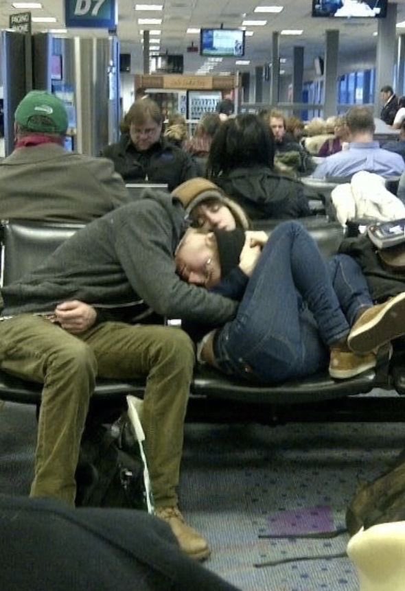 わび餅 tweet media