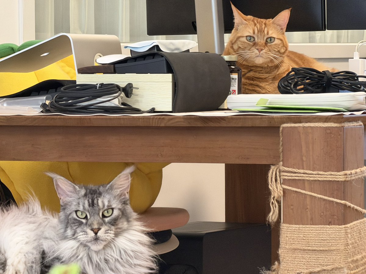 Thinkqob tweet media