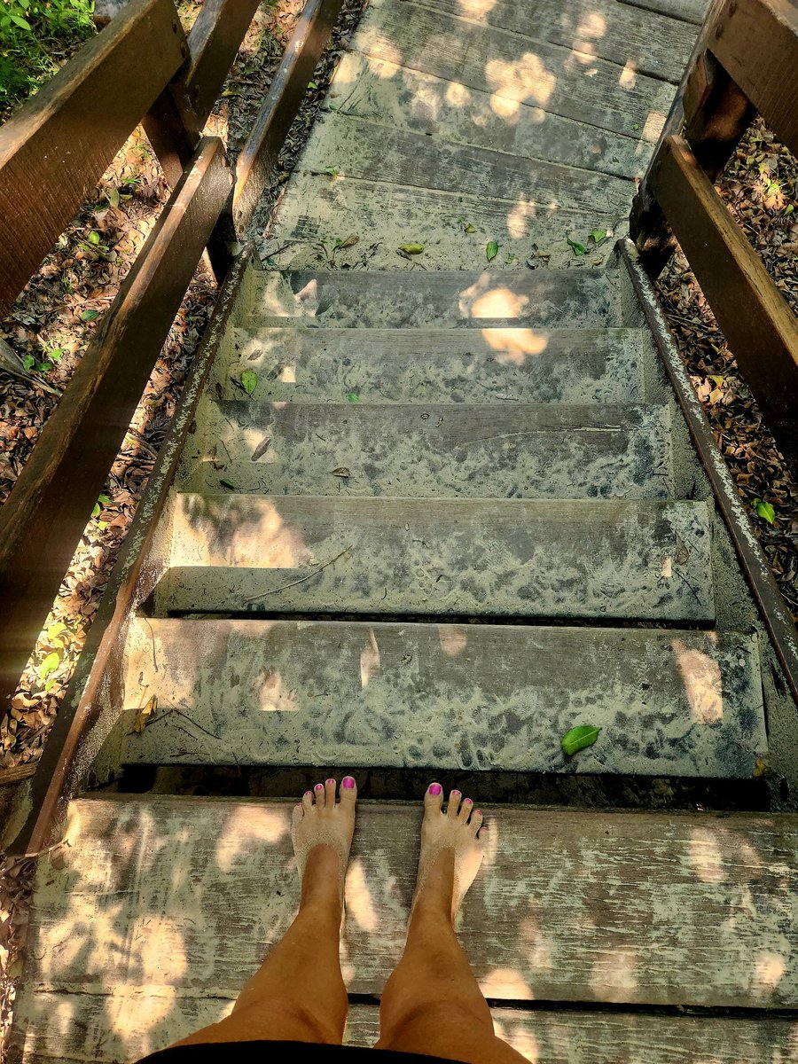 Sunflower123 tweet media