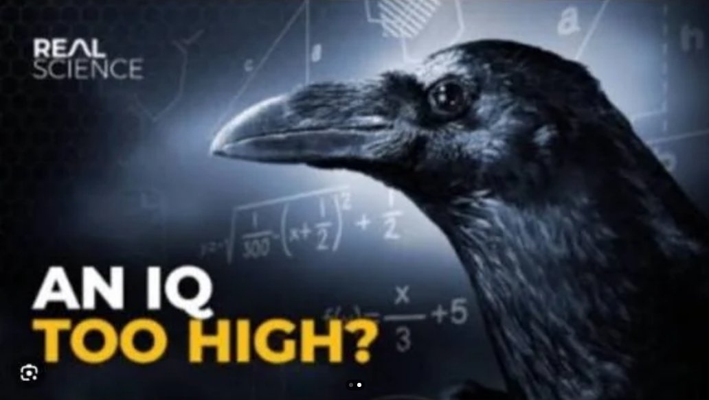 nat 🔜 Supercon, MEGAPLEX tweet media