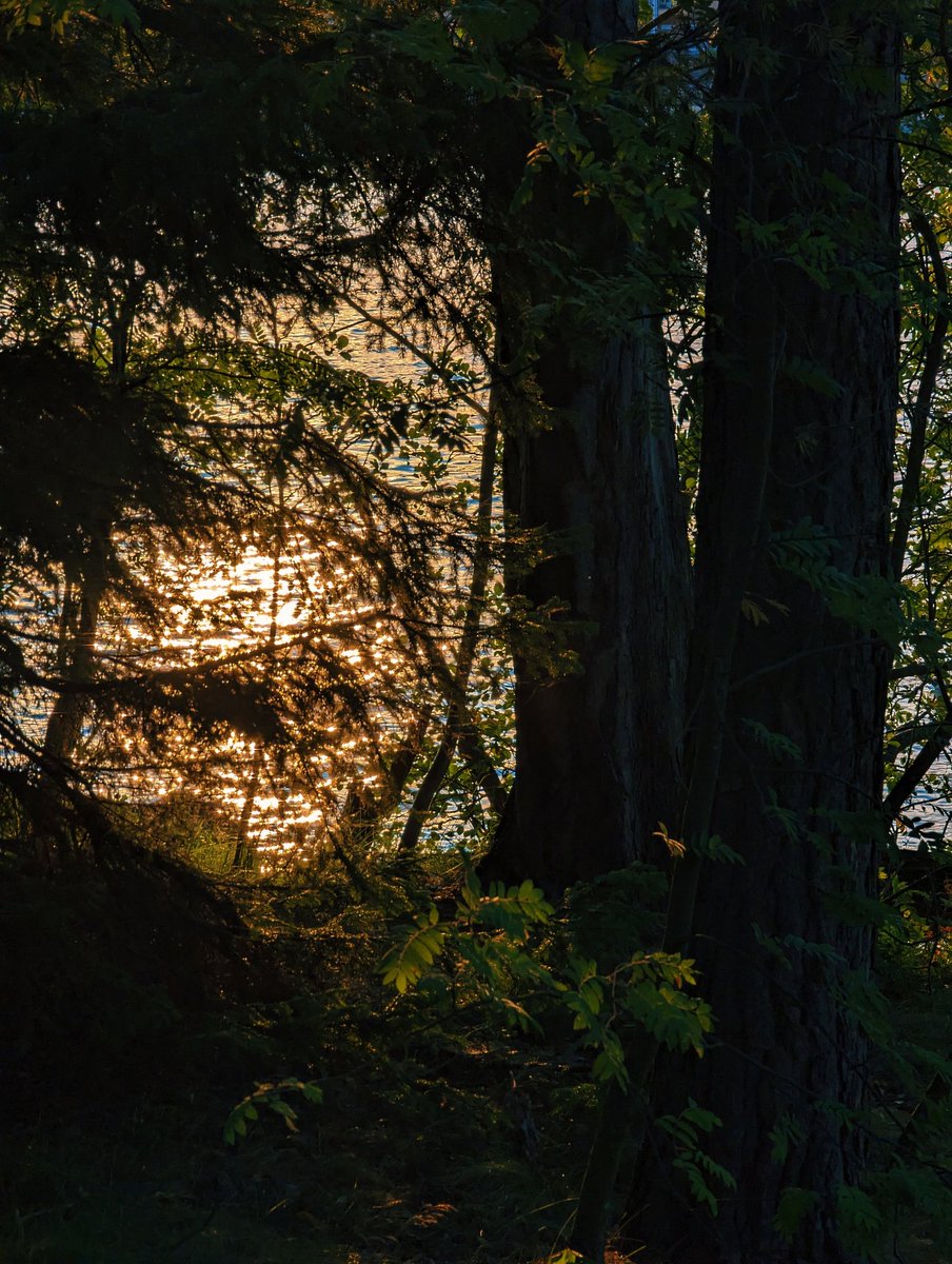 аккуратный финский гном-этикетчик tweet media