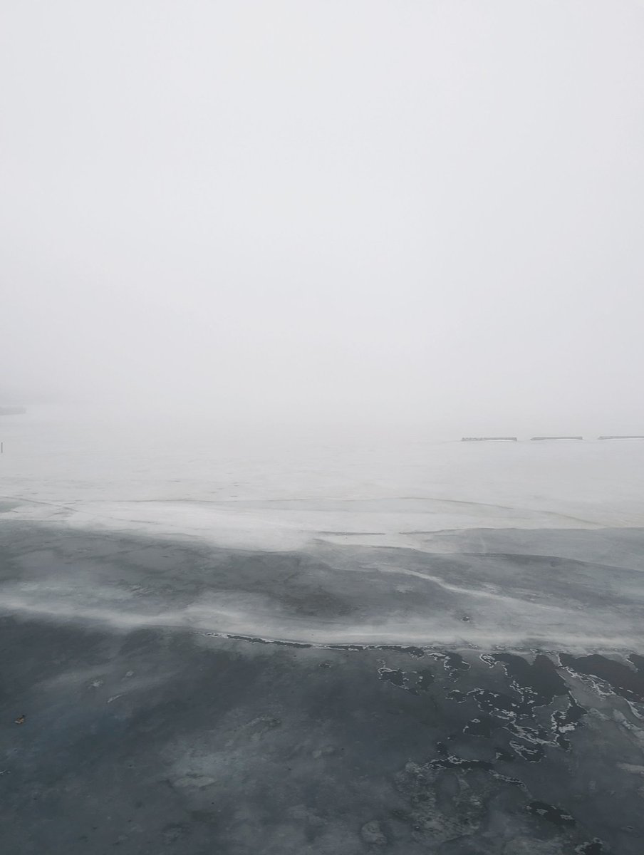 аккуратный финский гном-этикетчик tweet media