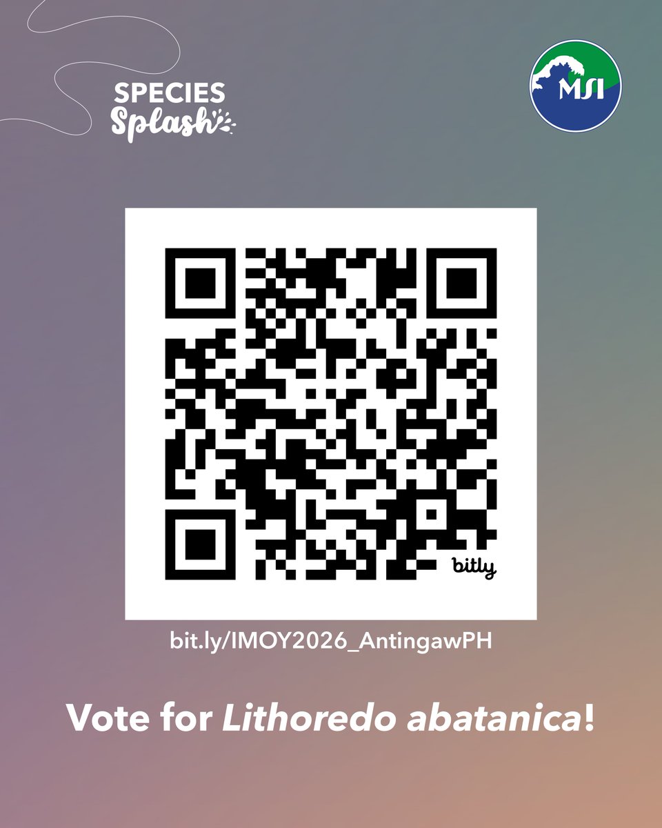 UP Marine Science Institute tweet media