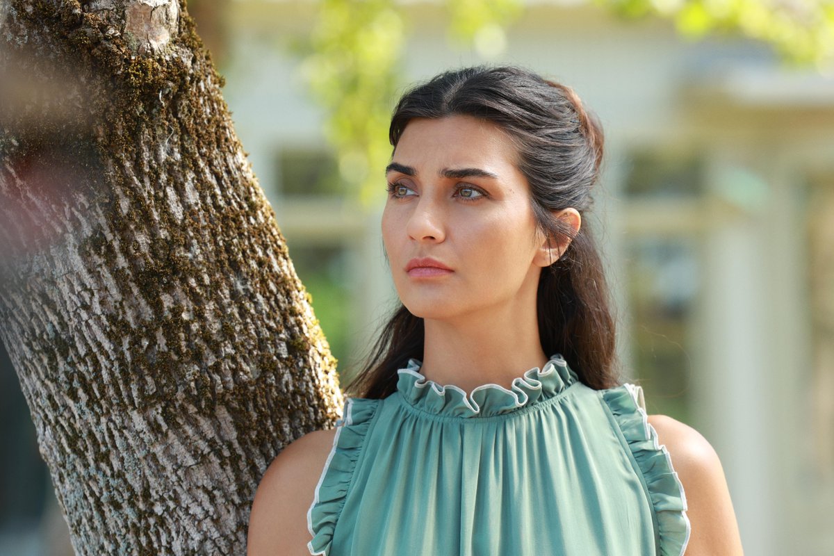 Netflix Türkiye tweet media