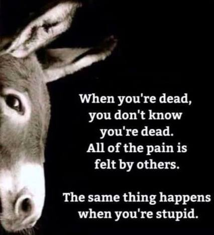 CaesarIV tweet media