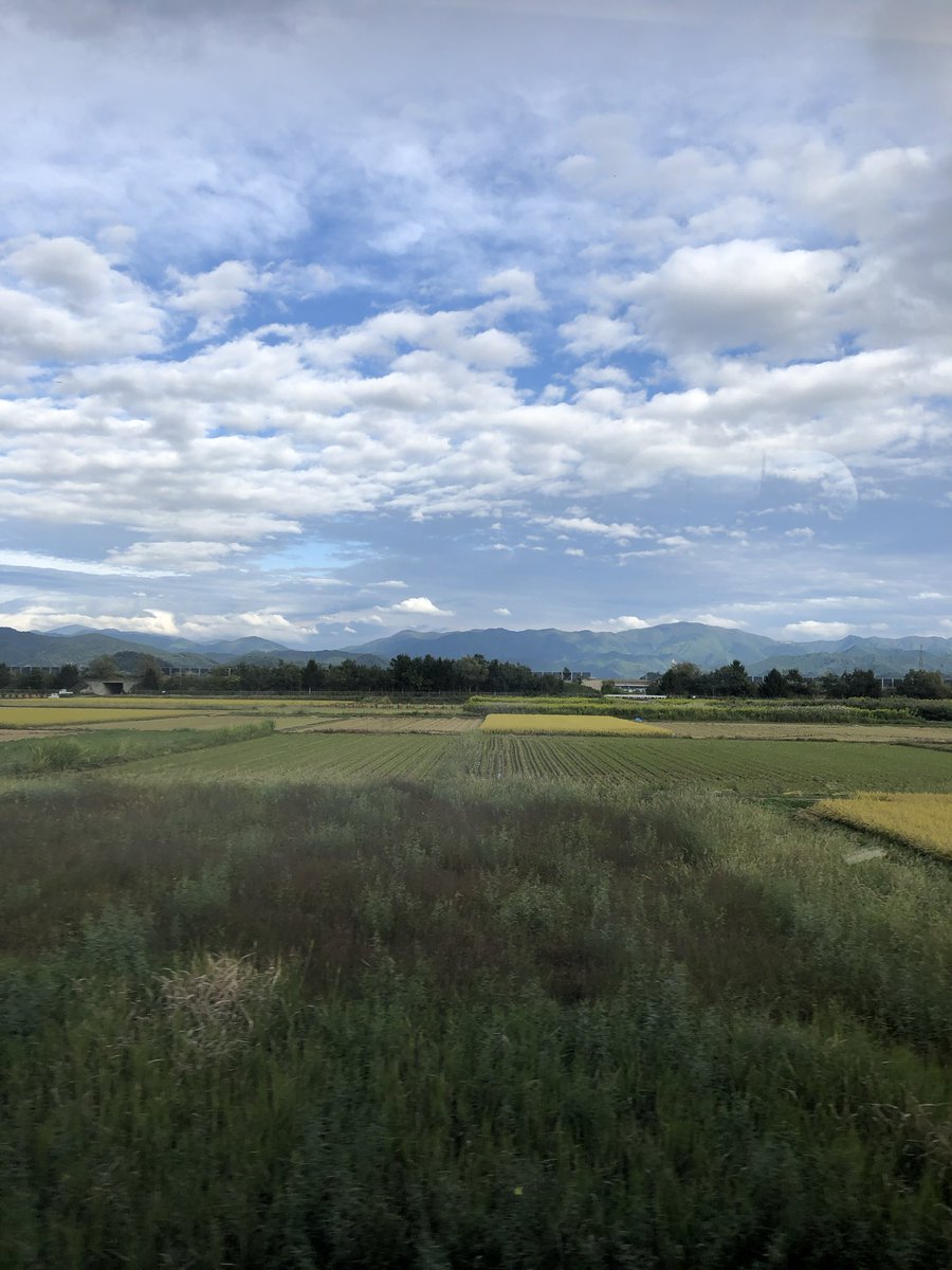 有本紘子 tweet media