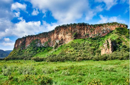 CS Rebecca Miano, EGH tweet media