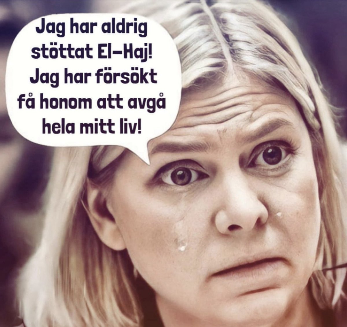 Detblirbra 🇸🇪🇺🇸🇮🇱🇺🇦🇫🇮🇩🇰🇩🇪 tweet media