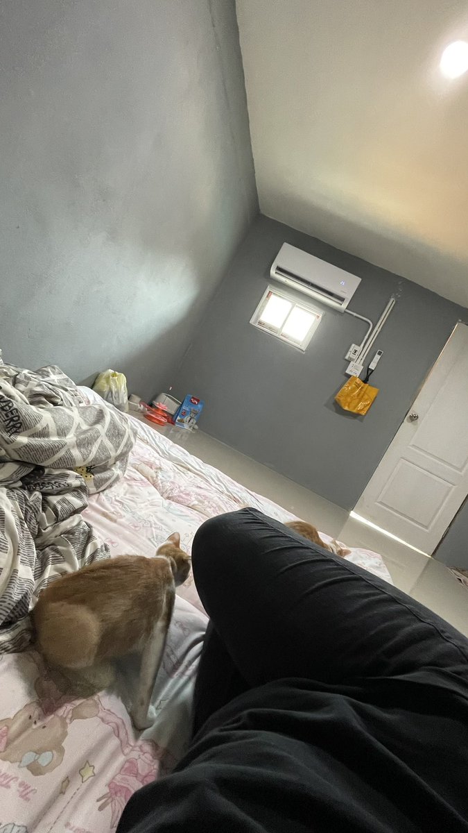 ปุ๊กปิ๊ก🫶🤍 tweet media