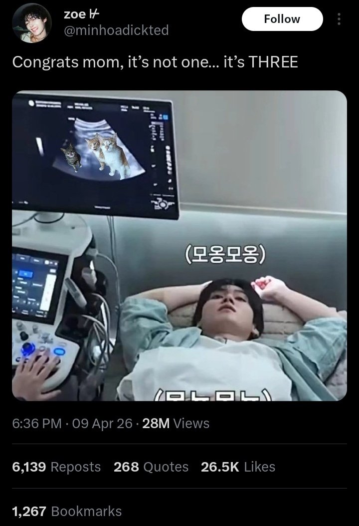 Bbokiverse 🩶🩷 tweet media