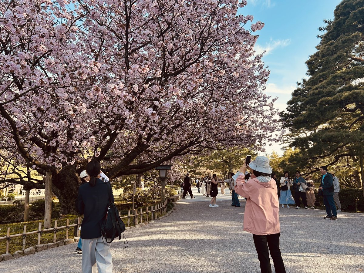 このさきれむ🏹 tweet media