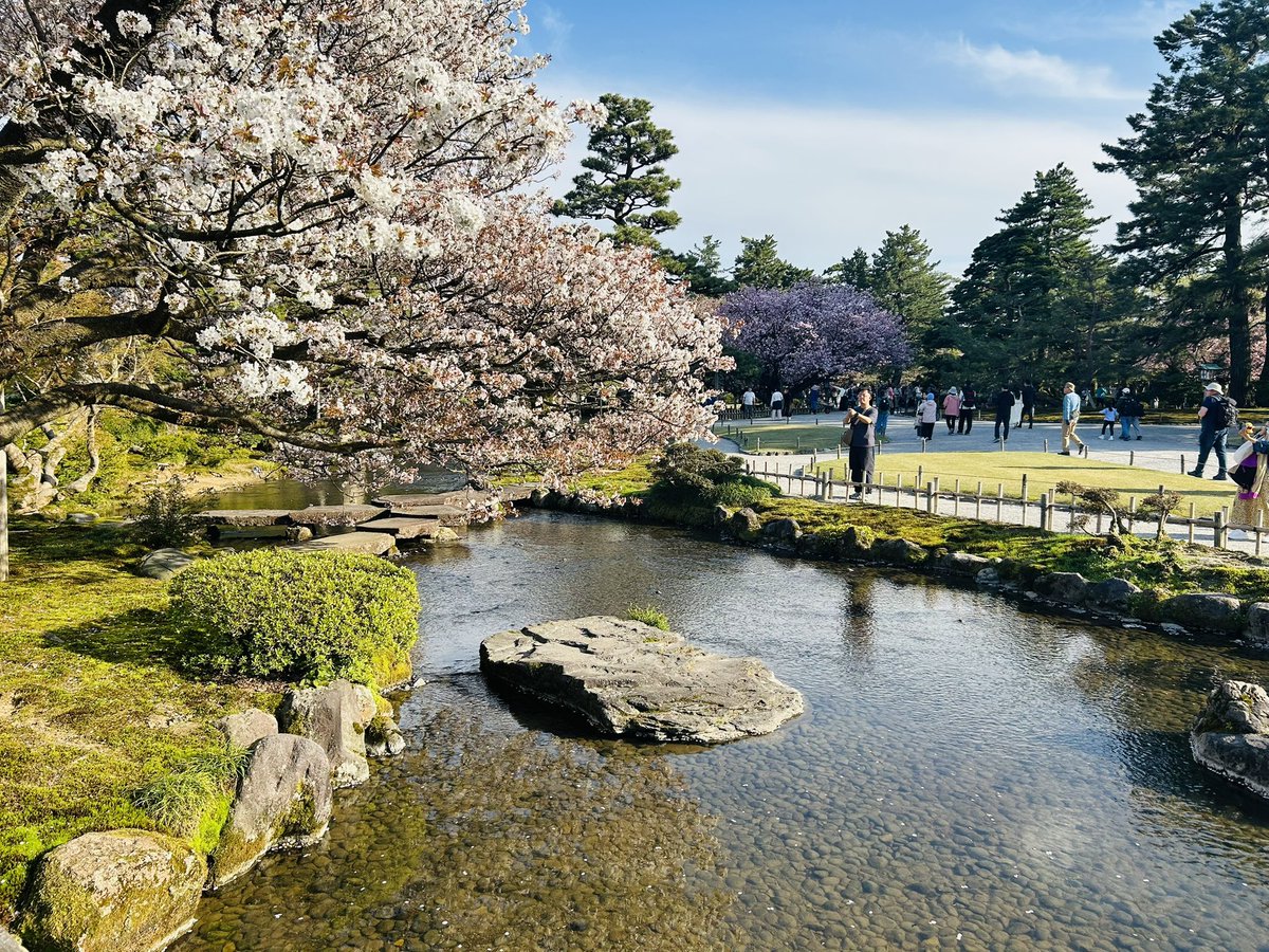 このさきれむ🏹 tweet media