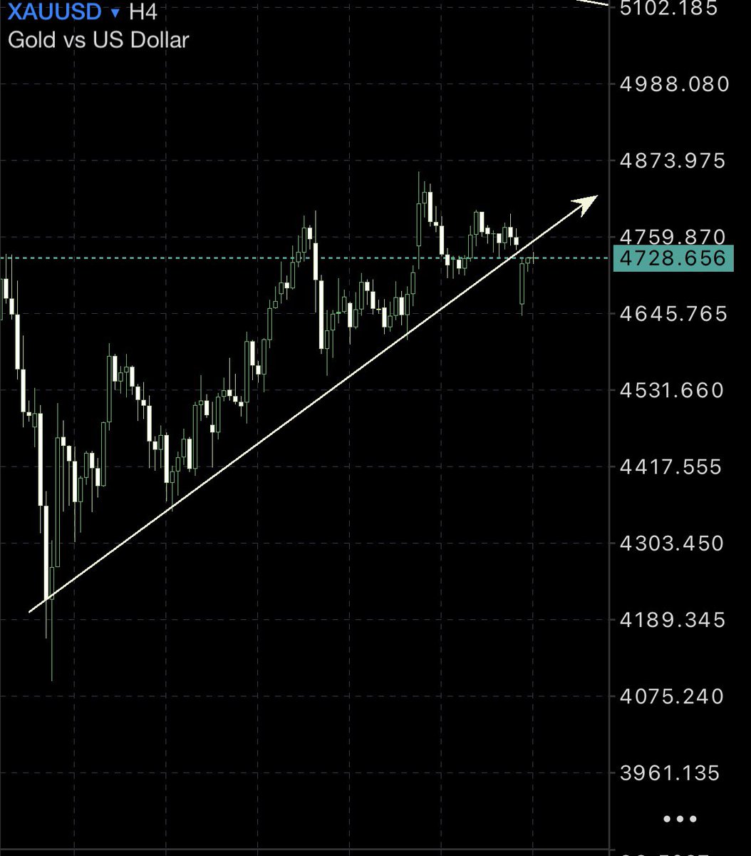 محمد الرويلي 🇸🇦 tweet media