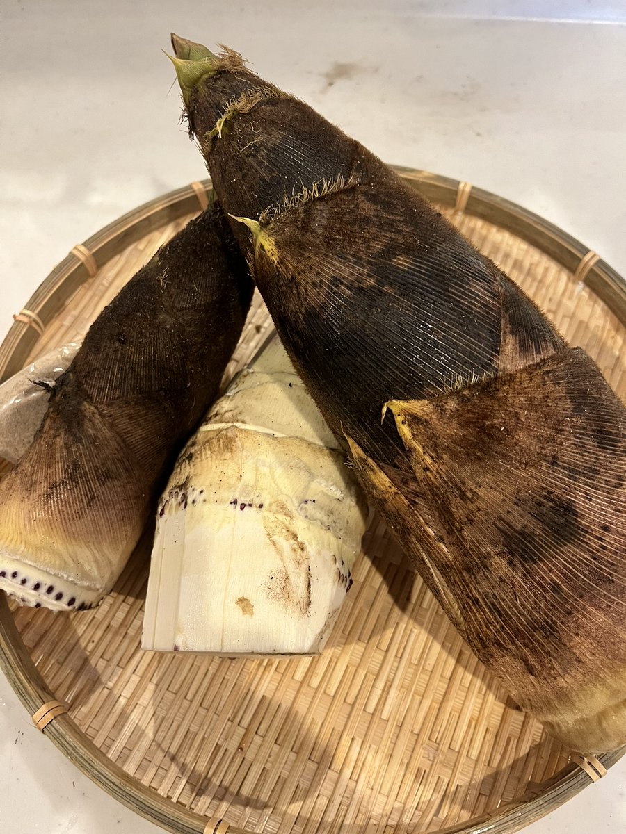 まいたけ tweet media