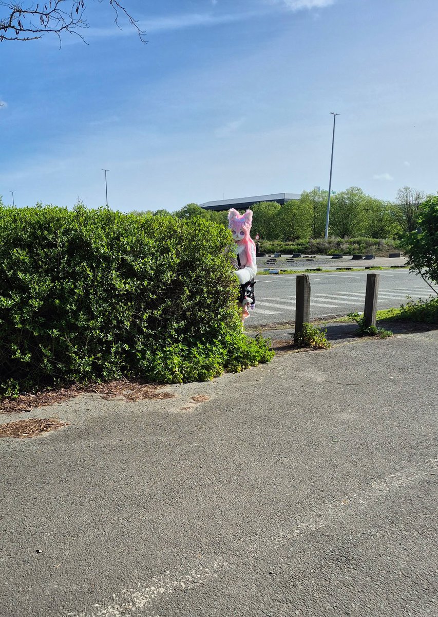 ⋆.𐙚 ̊ Finnya ᢉ𐭩 ⚓︎ tweet media