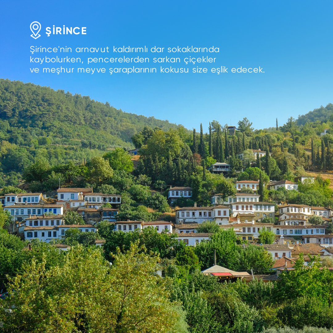 ECCTUR's tweet photo. Tarihin ve doğanın el ele verdiği, Ege'nin gizli kalmış cennet köşelerinde zamanı durduracağınız bir masal başlıyor: Birgi, Tire, Şirince, Seferihisar, Urla ve Alaçatı!  

📞 0850 533 1 333 - https://t.co/iB4B5tIlNd

#ecctur #EgeninSaklıKöyleri #birtatildedegilhertatilde https://t.co/7bdImti8DQ