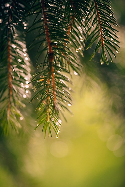 Robbie Phillips tweet media