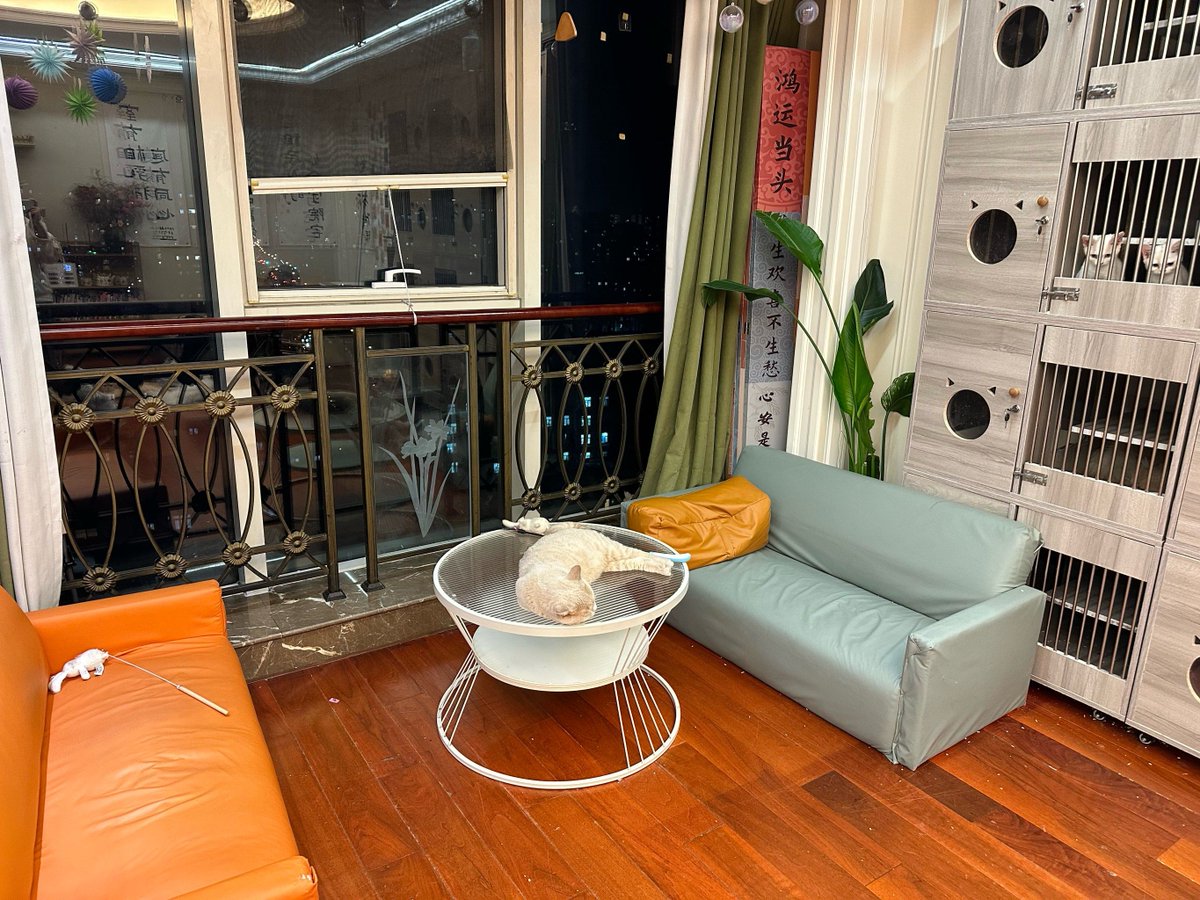 Adamkostewicz tweet media