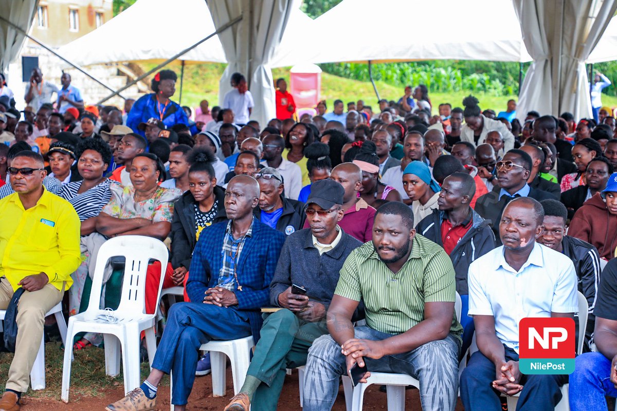 📸 Isano Francis tweet media