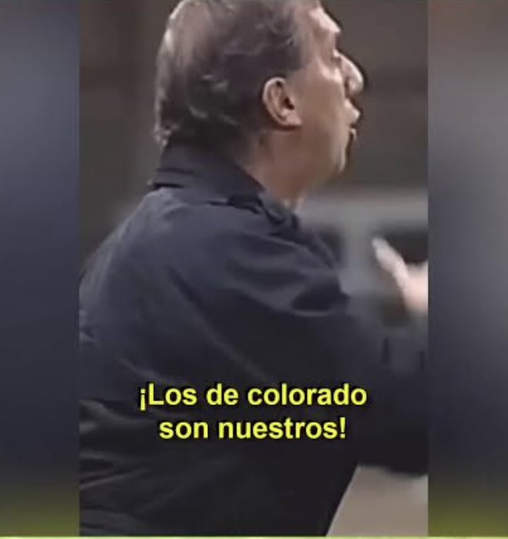 Mon Vilas tweet media