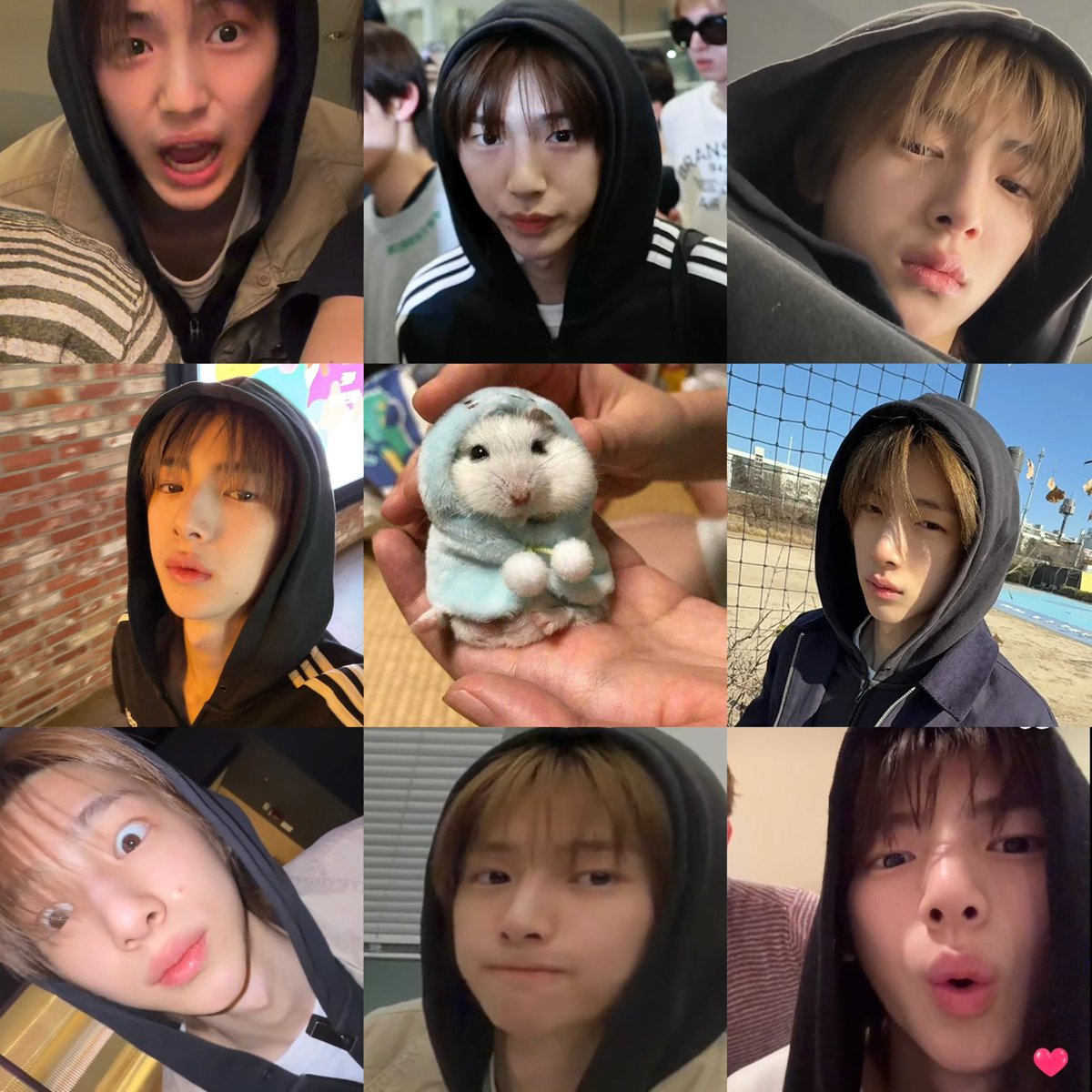 .☘︎ ݁˖ 주하늘🐢❣️ tweet media