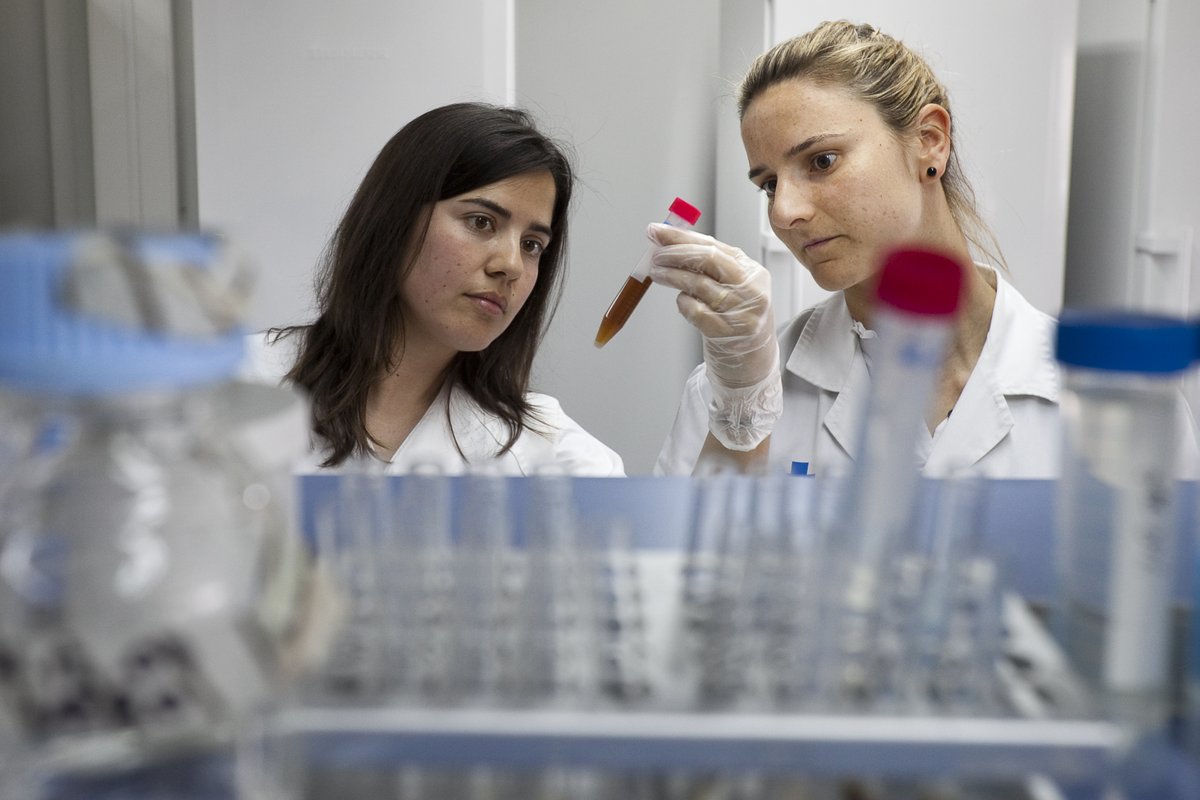 primariaicscat's tweet photo. 🏆 Ja pots presentar la teva candidatura als Premis de Recerca de l’ICS 2026! 

Un reconeixement a la recerca que contribueix a millorar l’assistència sanitària de l’@icscat. 

Participa aquí: https://t.co/FMw4JZ9Cxb https://t.co/GQe5JvdOn6
