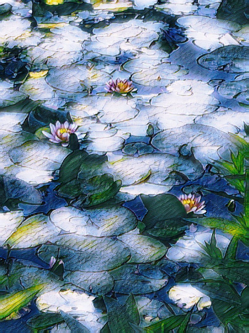 Богдан tweet media