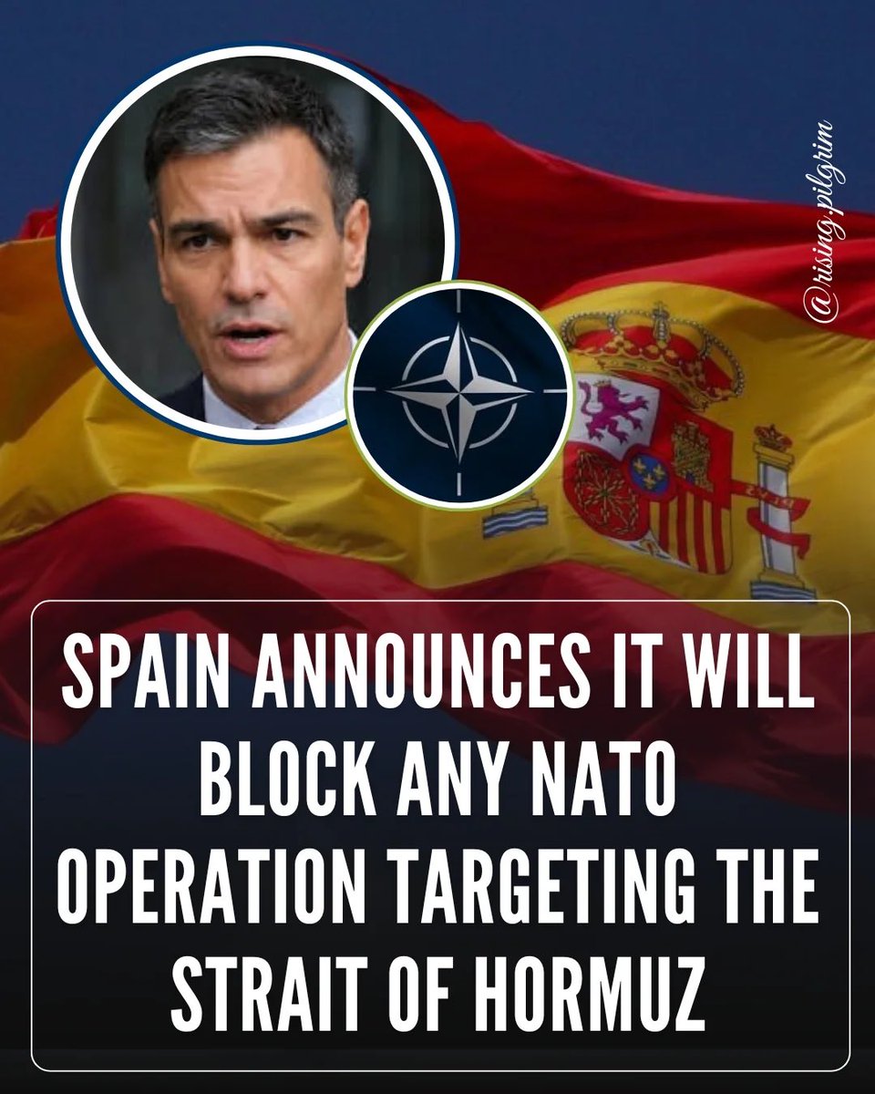 Earth Hippy 🌎🕊️💚 tweet media