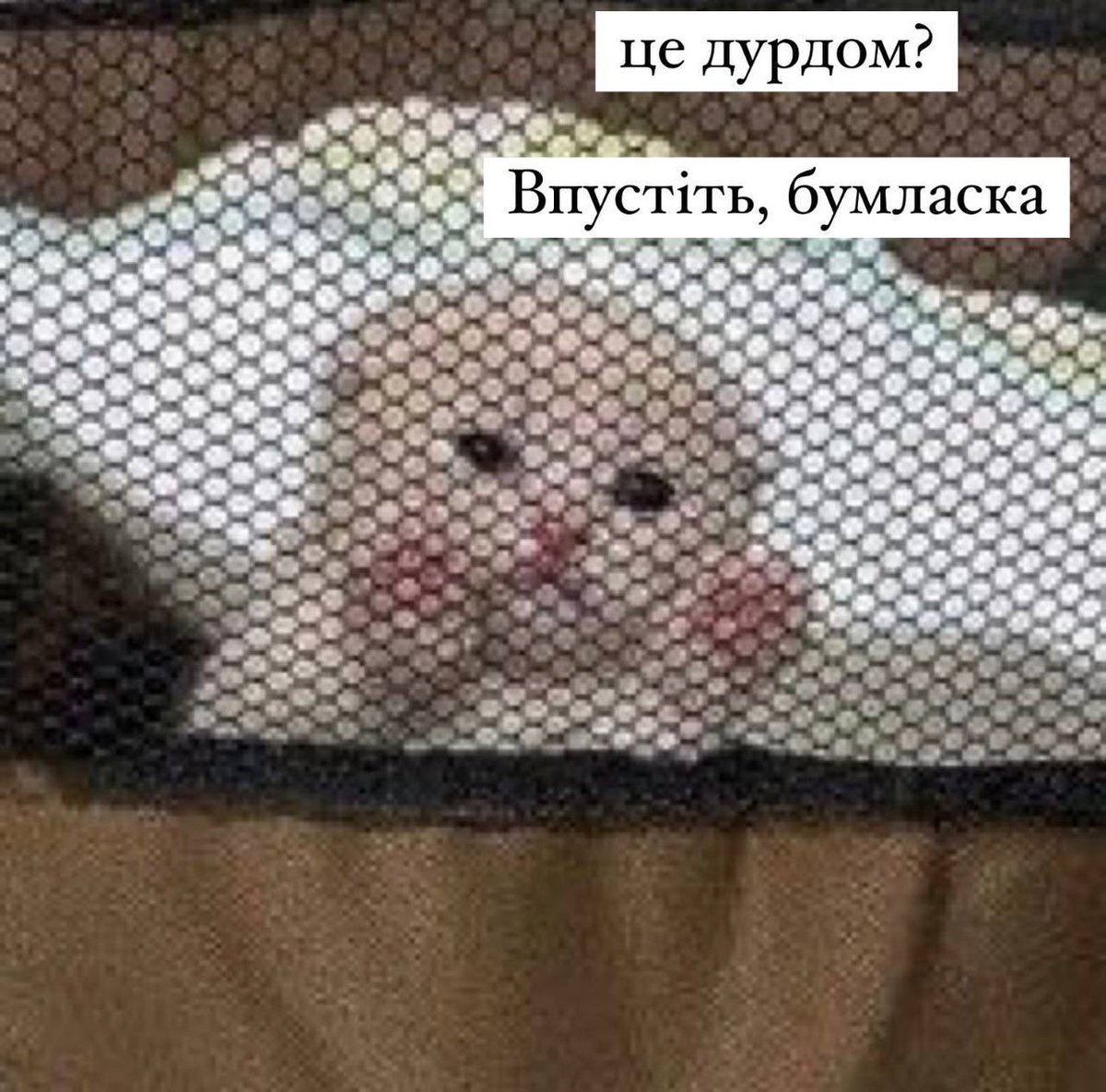 🇺🇦Рибка малює і tweet media