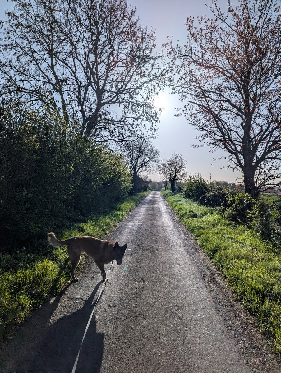 Beautiful morning!
And that's a lens flare, not an orb x