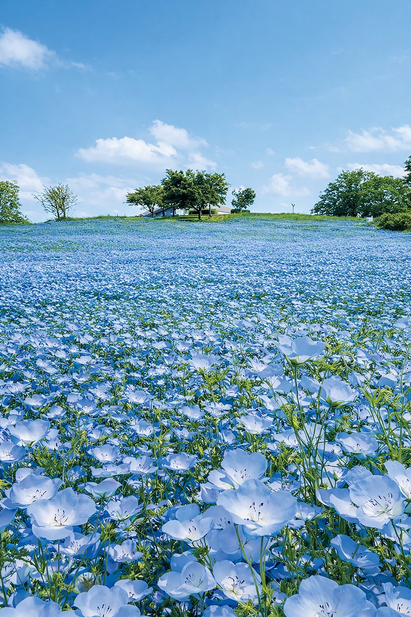 神戸市広報 tweet media