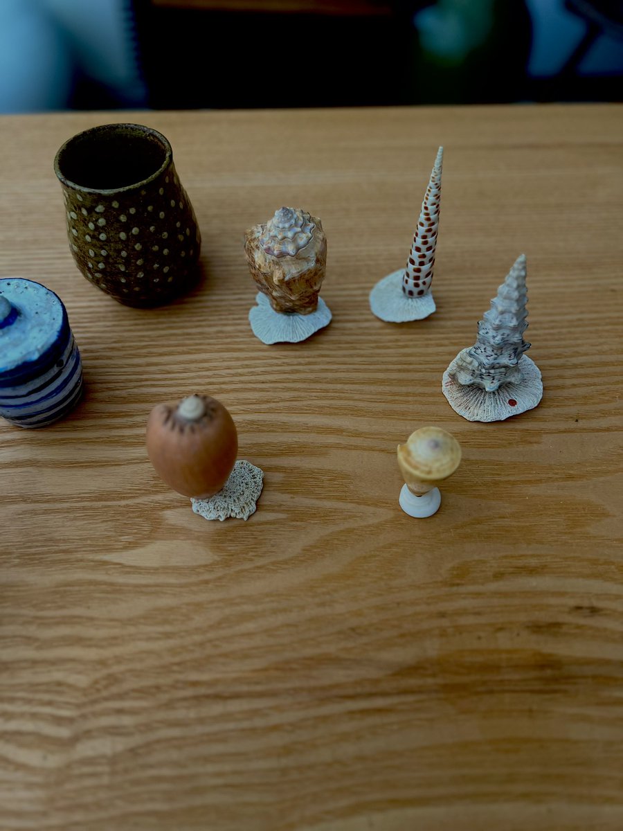 土井善晴 tweet media