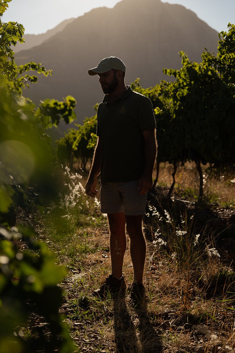 Waterford Estate tweet media