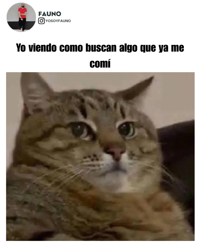 SoyFauno's tweet photo. Suele pasar 😁 https://t.co/uW0CF9NMJS