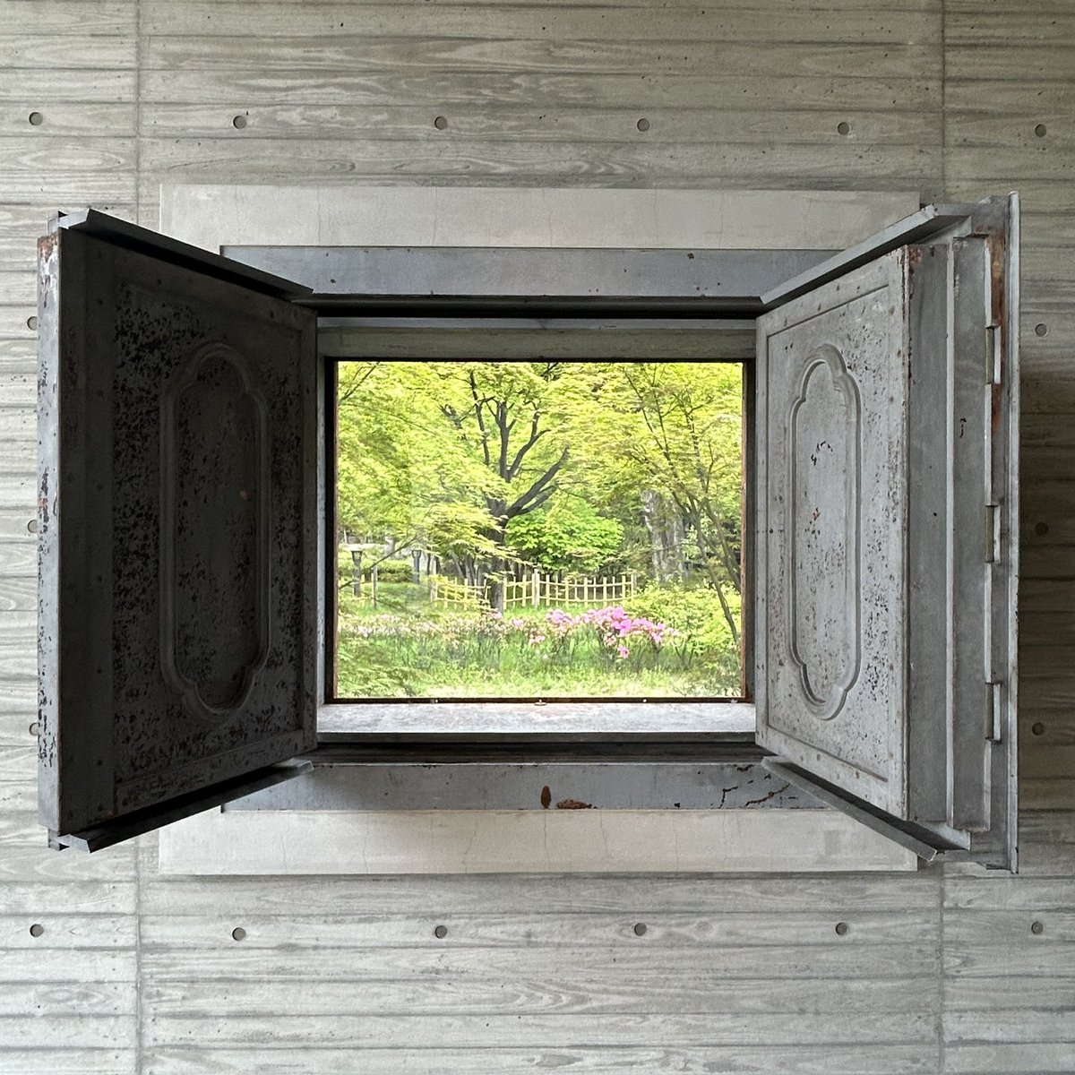 ナツイ tweet media