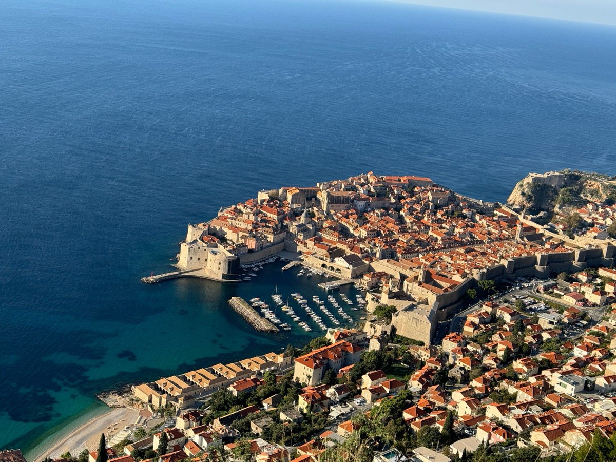 jasmine hartke tweet media