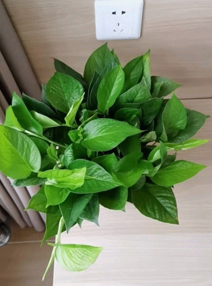 Marine Cruau tweet media