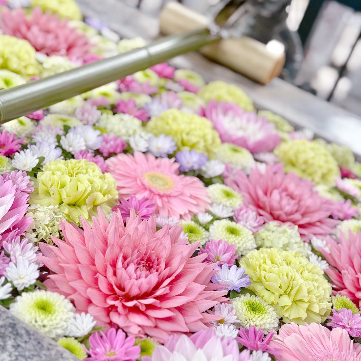 しおり tweet media