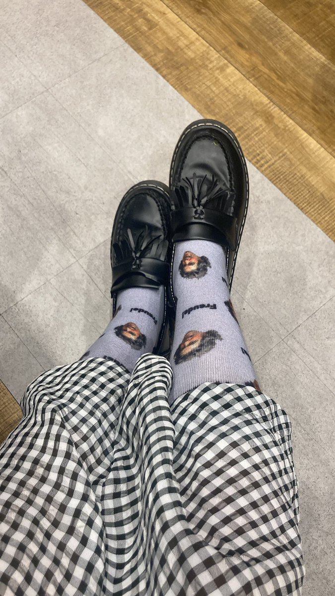 鶴田 麻記🎺つるたま tweet media