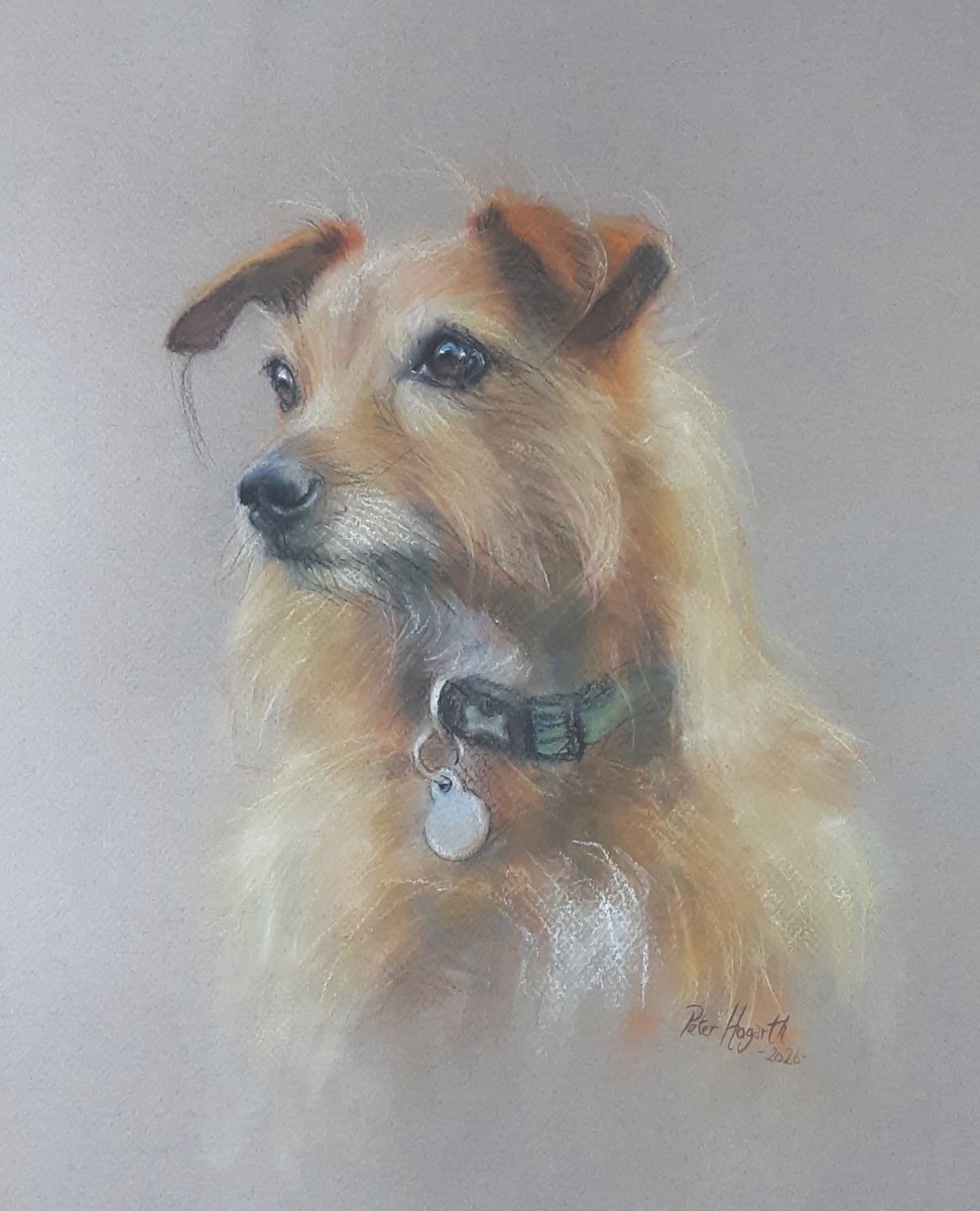 Peter Hogarth - Artist tweet media