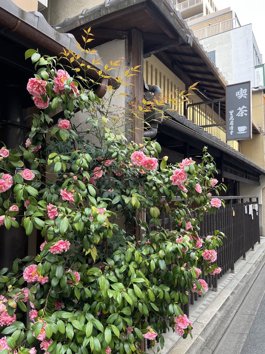 今日は病院の時間が半端でご飯難民 