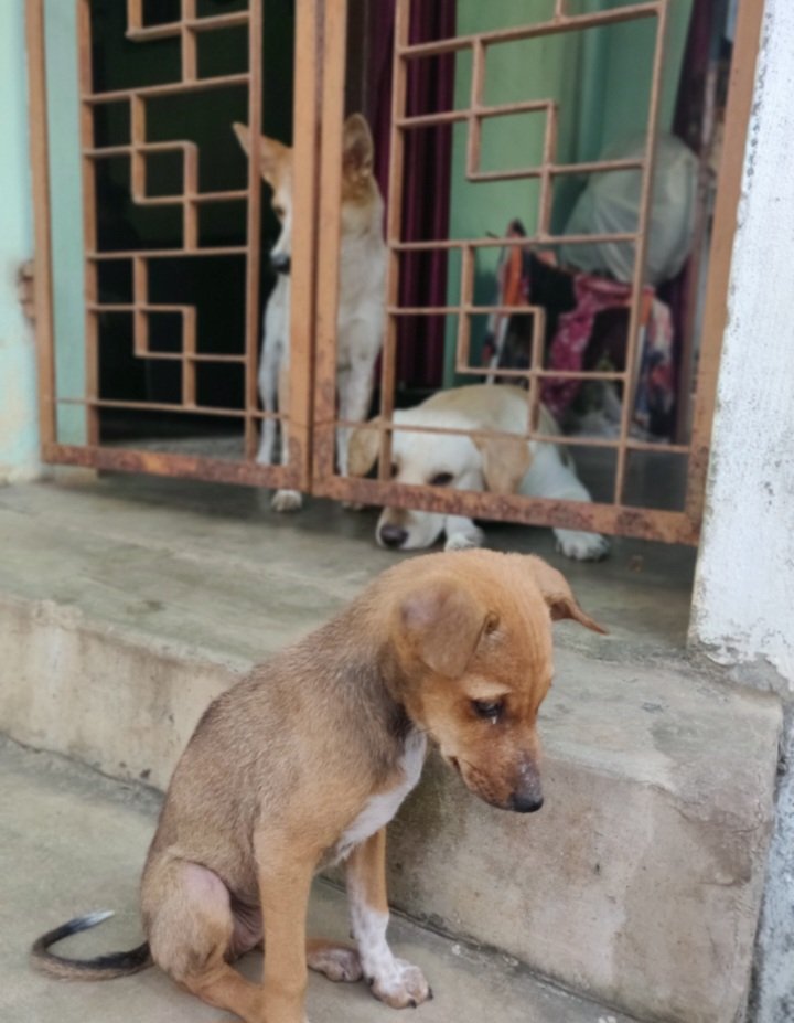 Prasant Rai tweet media