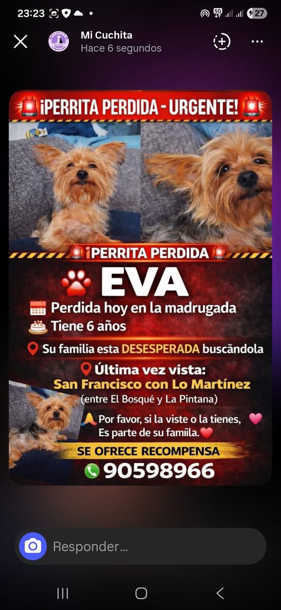 Elizabeth tweet media