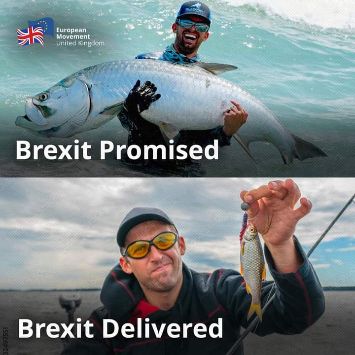 TERRY WHENMAN #FBPE 🇪🇺 🇵🇸 💙 #NHS 🇬🇧 tweet media