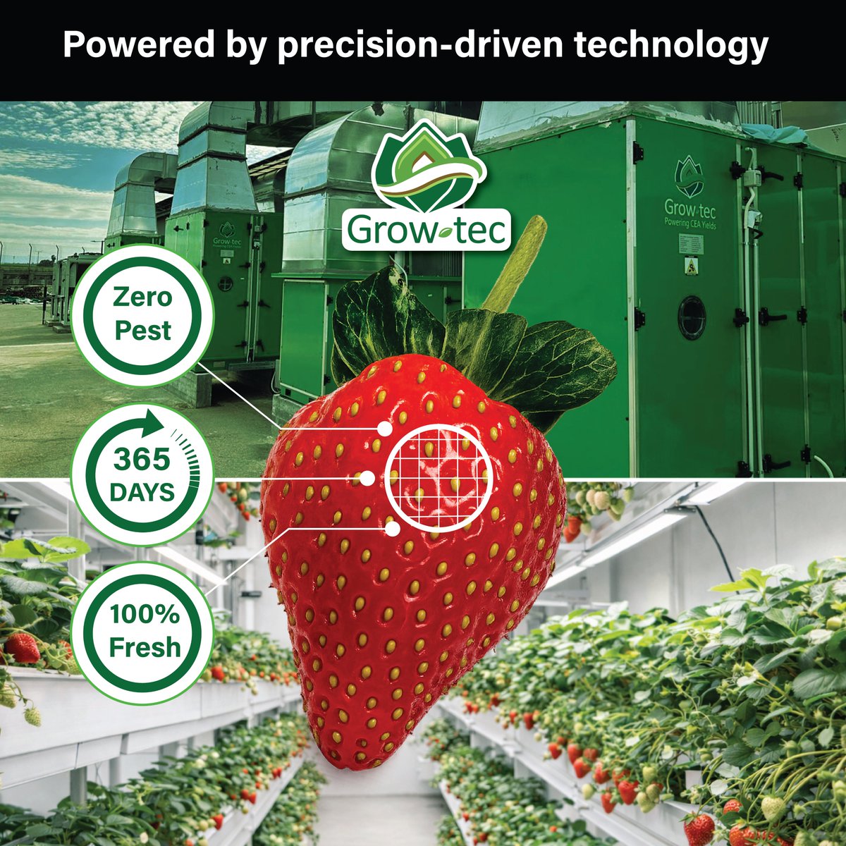 GrowtecRP's tweet photo. Only two months to go until @GreenTechRAI  #Amsterdam
We will be there on June 9–11, showcasing advanced indoor vertical farming solutions for fruiting vegetables.
We look forward to meeting you in Amsterdam.
Contact our team and schedule a meeting:
rpoffice@grow-tec.com https://t.co/clwajgIC12