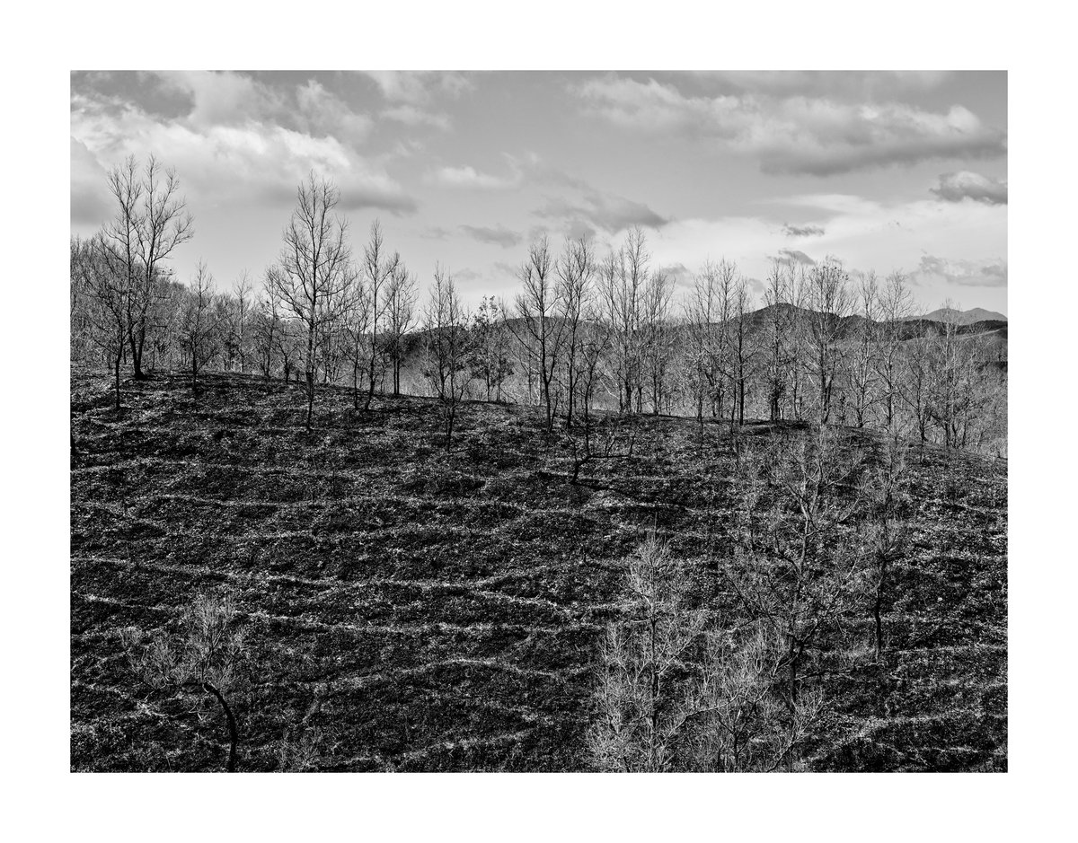 .
『風景写真』

#風景写真 #Landscape
#白黒写真 #モノクロ写真
#monochrome